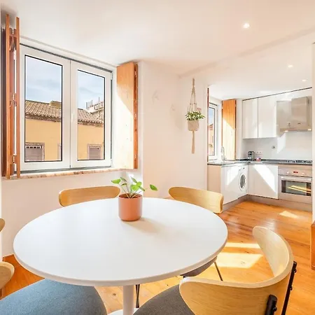 Lapa Star * Лиссабон