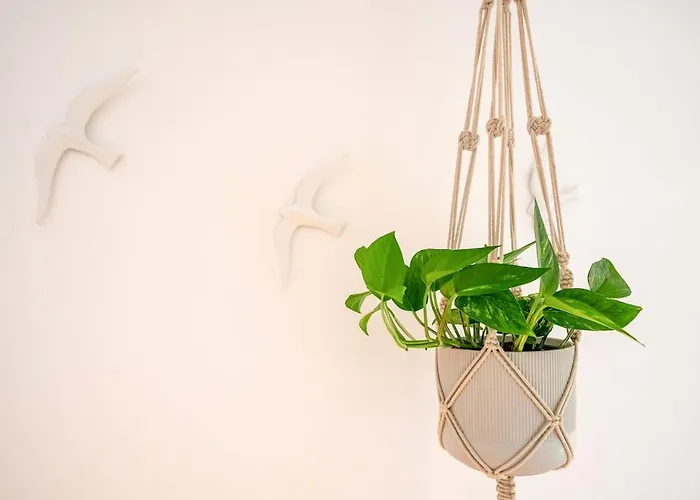 Апартаменты Lapa Star